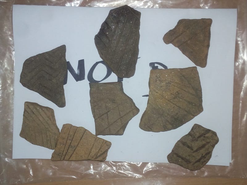 Pronadjeni ostaci lokalitet Svinjaricka cuka foto Narodni muzej Leskovac