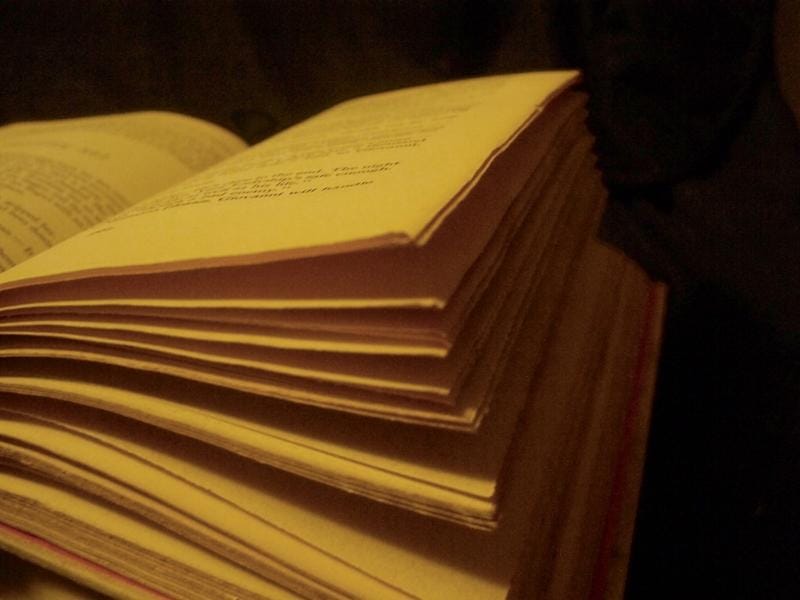 800x600 promocija knjige ilustracija flickr Jo Naylor