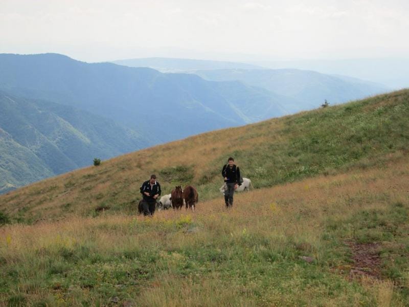 Nove cene u Parku prirode "Stara planina" - dan branja pečuraka 120 dinara 1 Stara planina foto kamp SP
