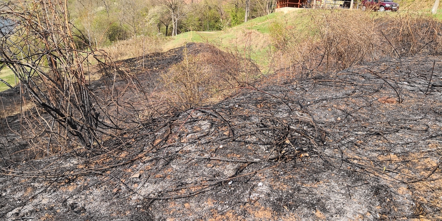 Bovansko-jezero-paljevina1;-foto:-citalac