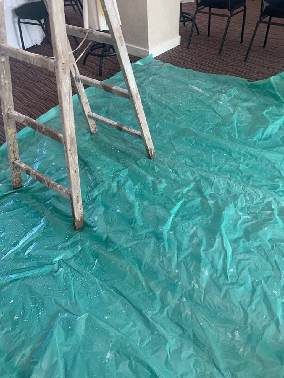 58430267-433836657432366-4690219972176117760-n