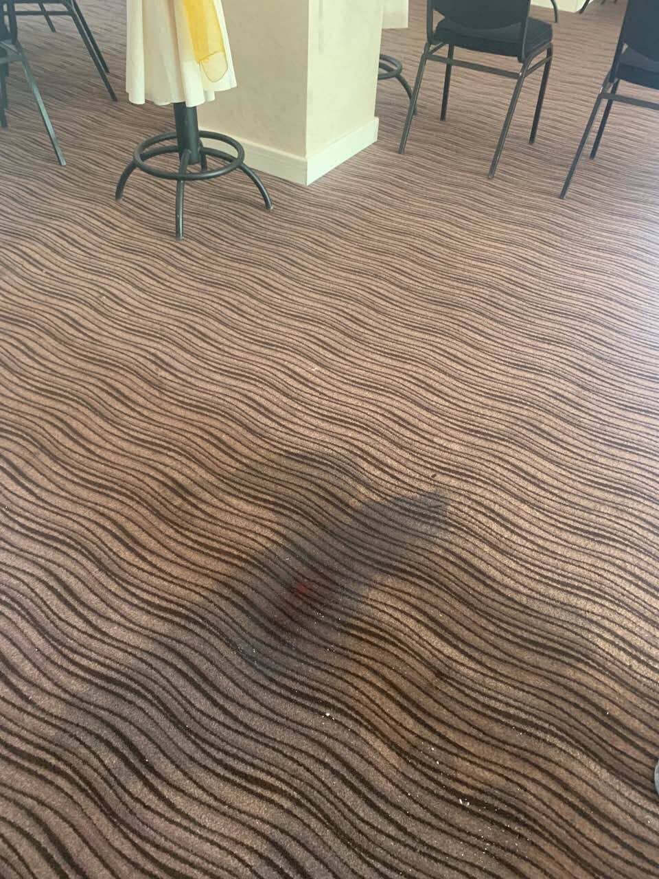 57599603-588196464995768-8675450869786869760-n