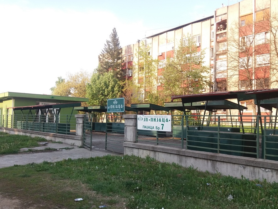 Pijaca Dubocica Leskovac 2 foto Bojana Antic