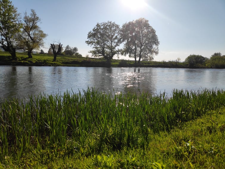 Obala Nisave Brzi Brod V Milic