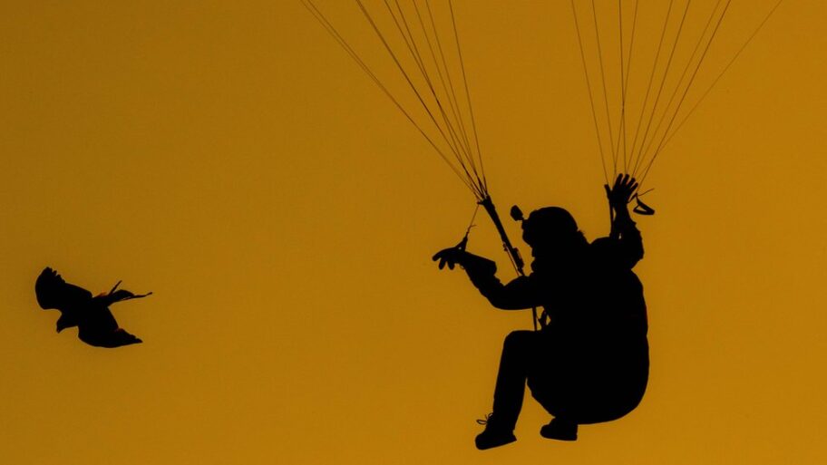 U fotografijama: Čileanski paraglajder i njegov soko 6 105862869 052681181