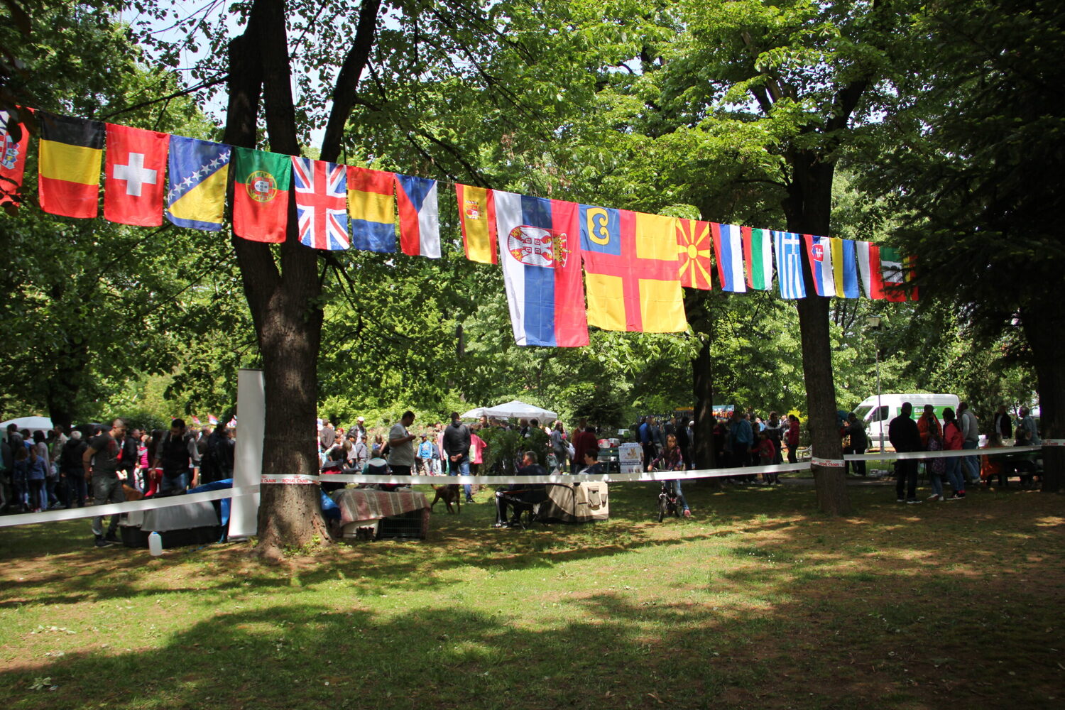 izlozba-pasa-vranje-foto-im