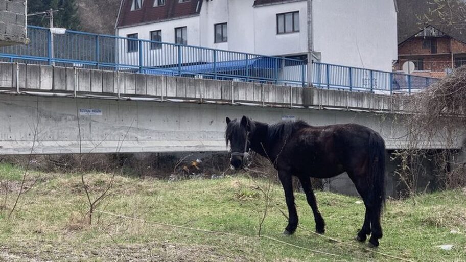 NATO bombardovanje Crne Gore: Murino, dve decenije kasnije 16 106614350 novimost