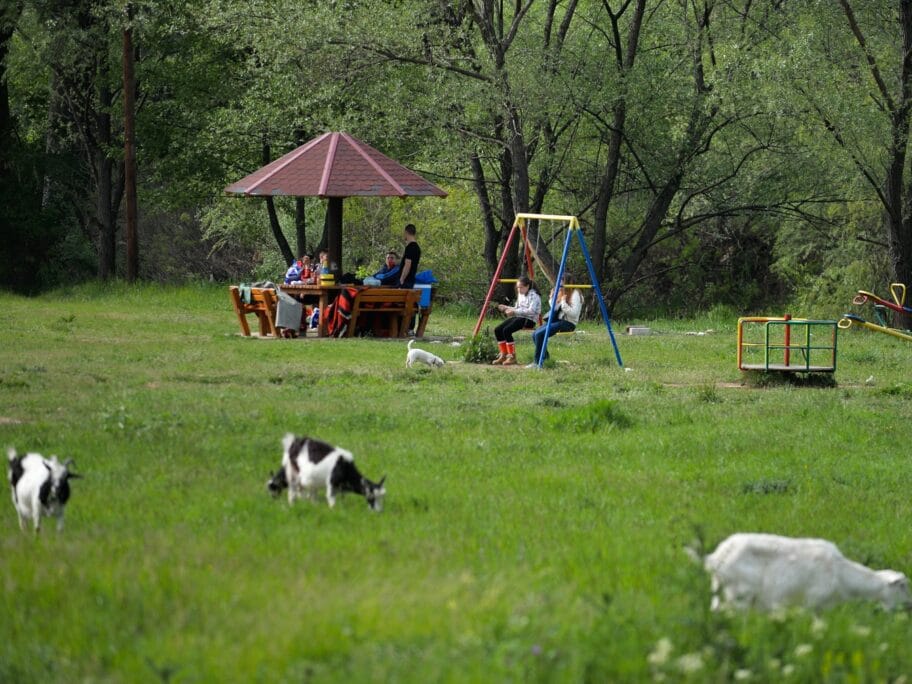 Foto-vest: Nišlije "prkose" lošem vremenu i 1. maj provode u prirodi 10 VAK 9665 1 Cropped