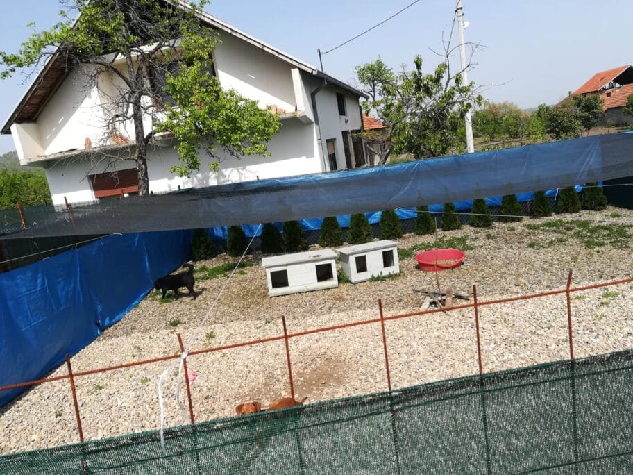 Napravila prihvatilište za pse u Lepaji, komšije zbog buke i smrada negoduju 16 58842429 2196692990409249 3786765818981777408 n