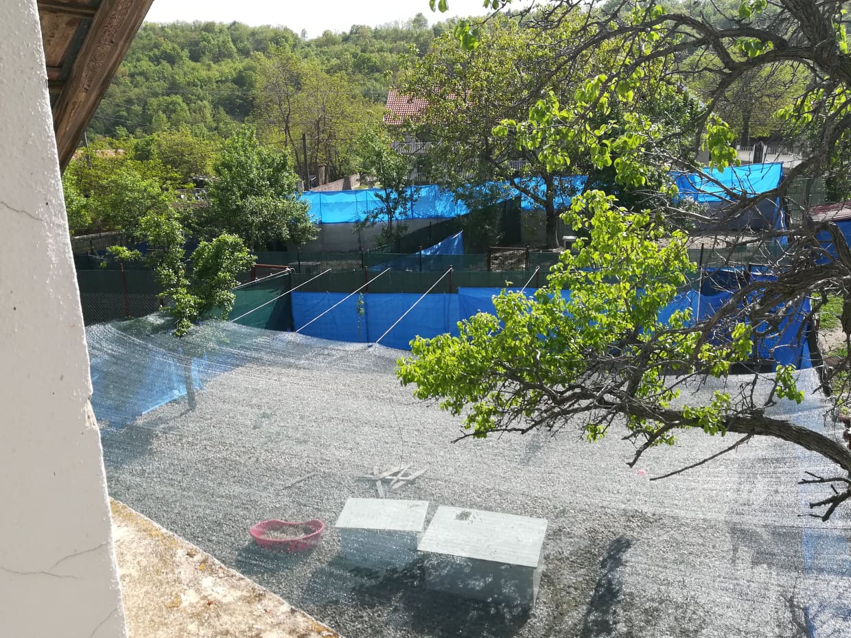 59507708-325107348385112-5681301224964489216-n