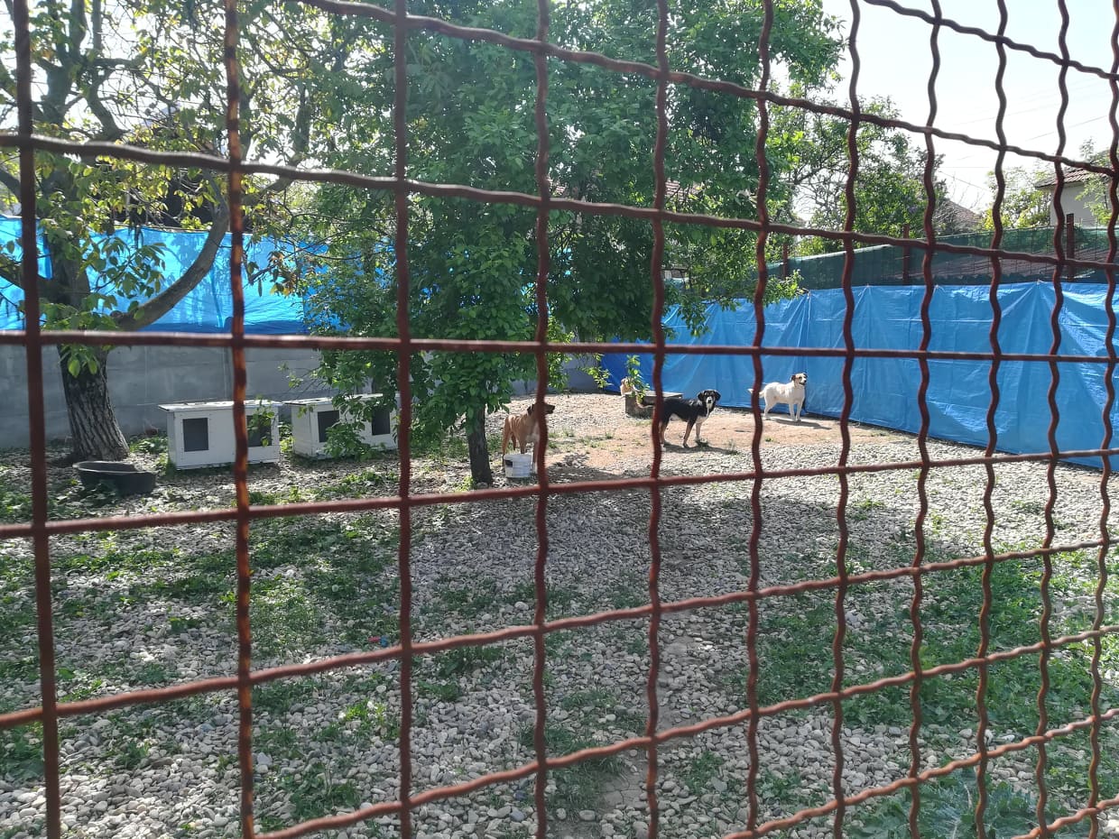 59273887-344193996453329-4655254299821998080-n