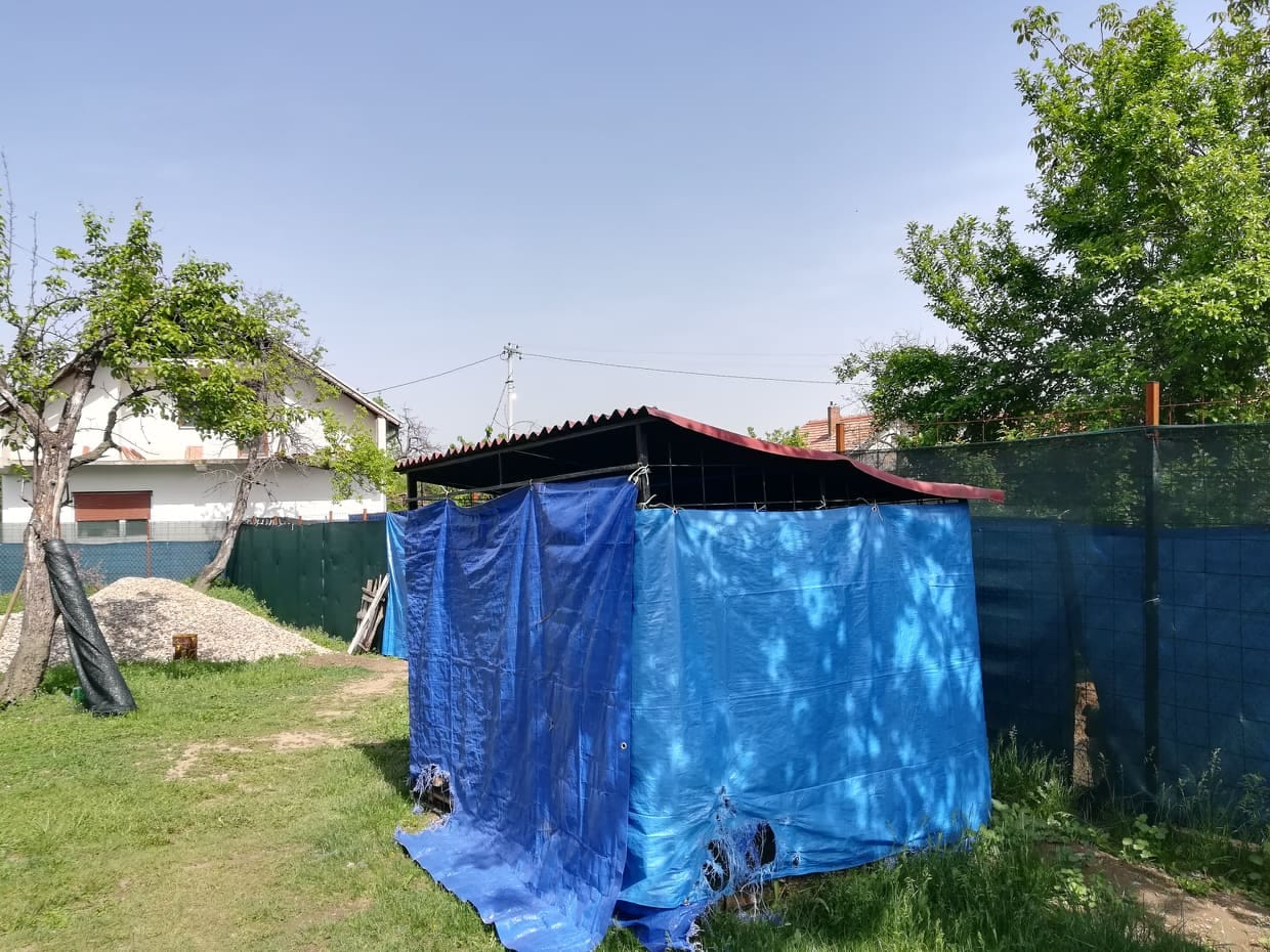 59422915-388750485304534-4926852621278380032-n