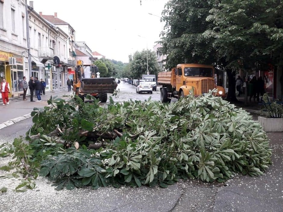 Secenje stabala Aleksinac2 foto D O