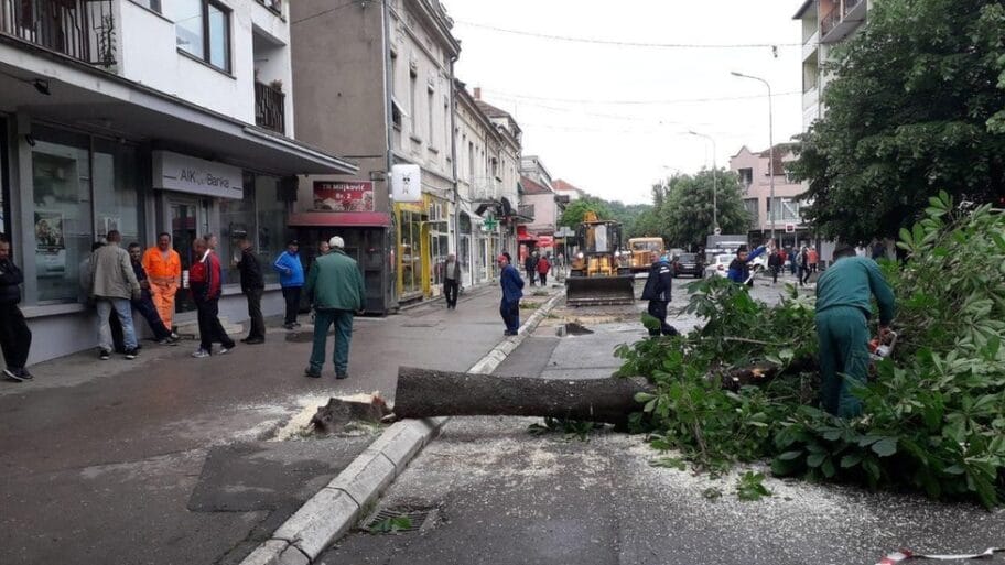 106843037 33047450 b