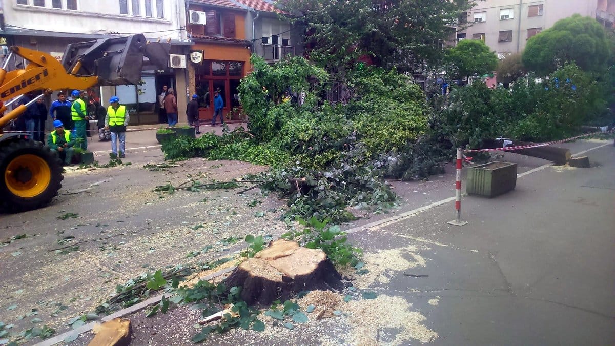 Seca-stabala-u-Aleksincu-novo4;-foto:-I.-D