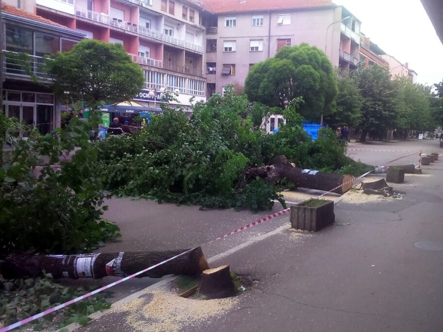 Seca stabala u Aleksincu novo foto I D