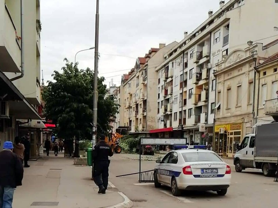 Nova-posečena-stabla1;-foto:-čitalac