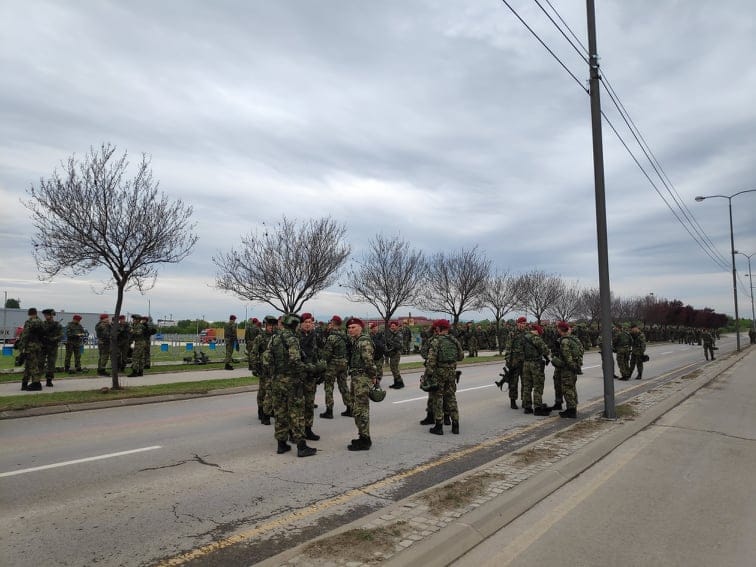 Drvece gusenice Foto V Milic