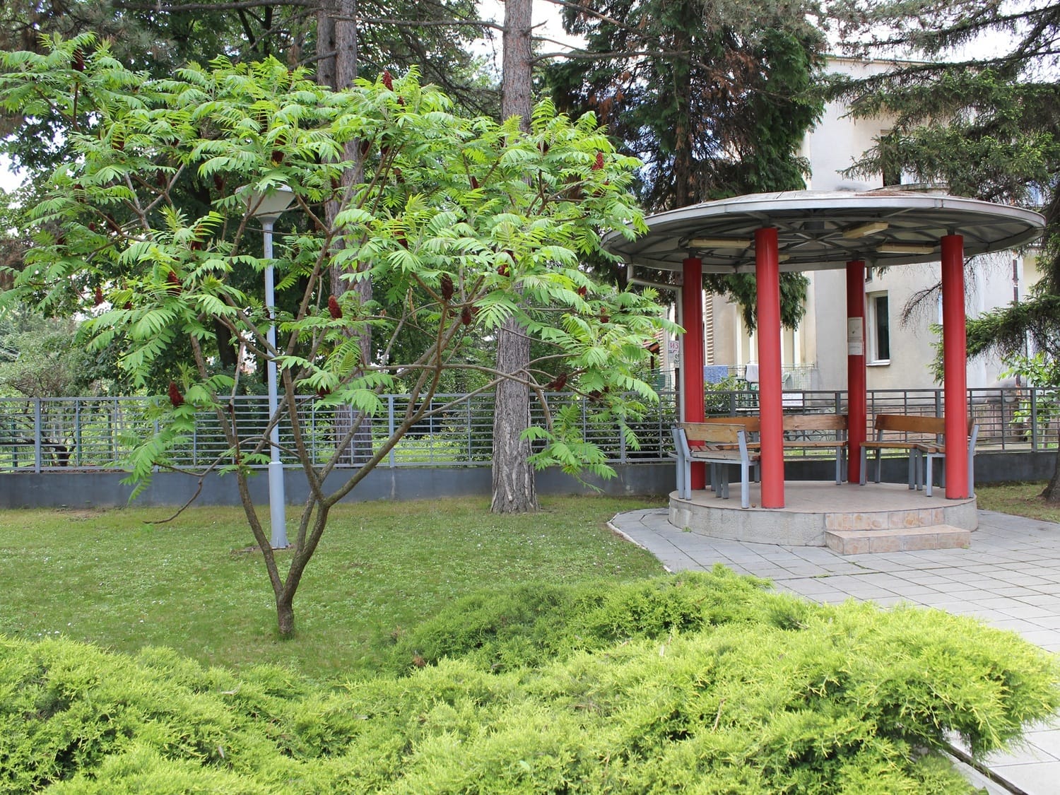 Specijalna bolnica za lecenje steriliteta Leskovac 2 foto Bojana Antic