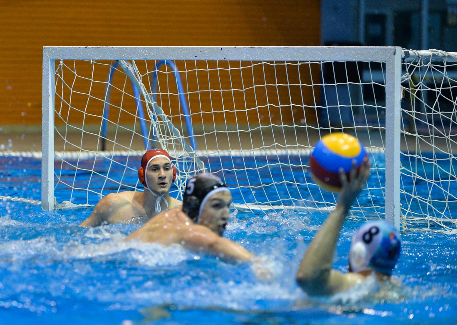 Nais-Partizan-vaterpolo-maj-2019-4-foto-Juzne-vesti-Vanja-Keser.