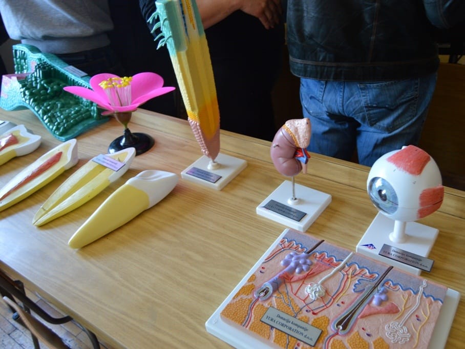 Oprema kabinet za biologiju foto Grad Leskovac