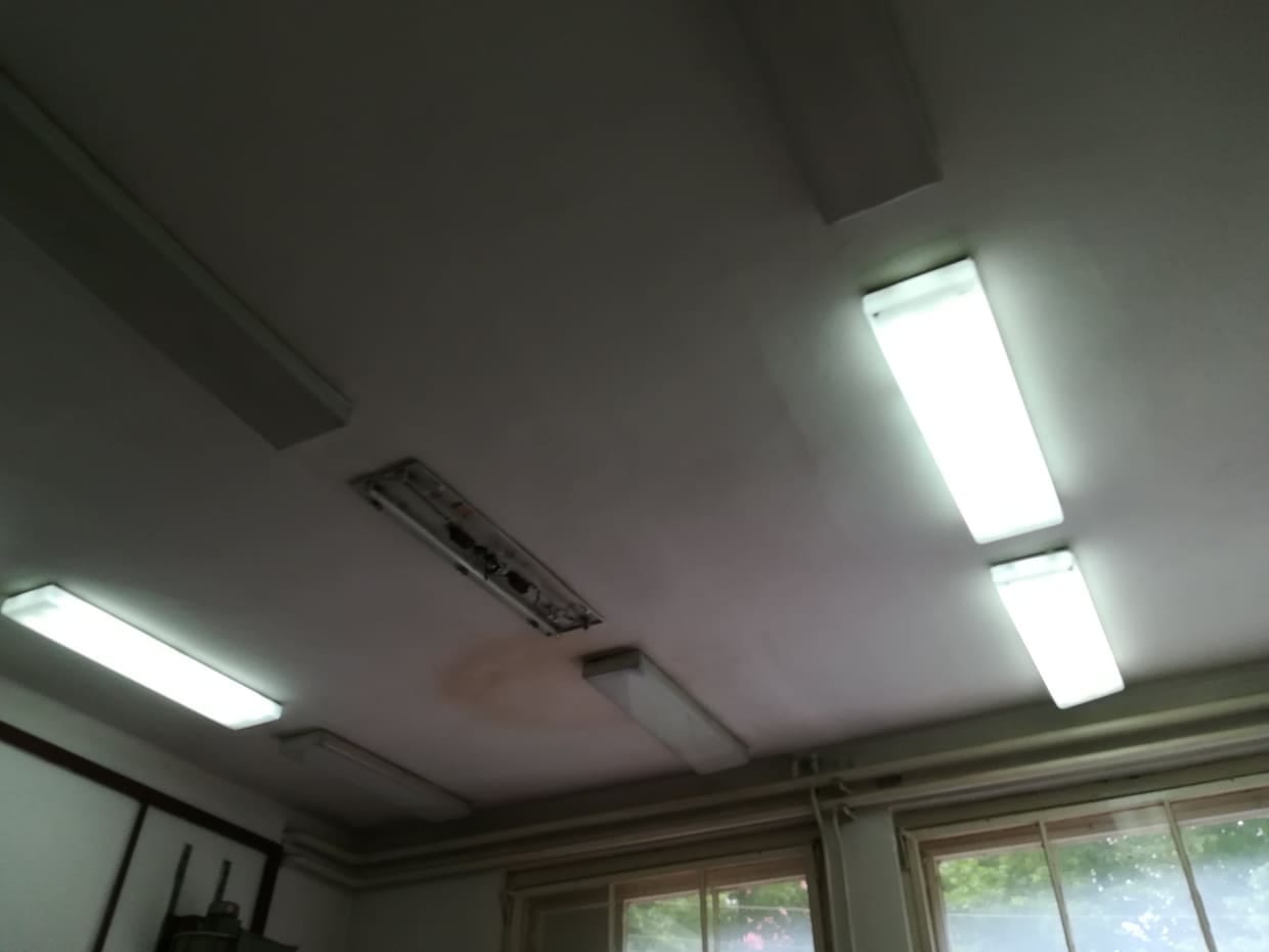 Zid ispod biblioteke Filozofski foto JV