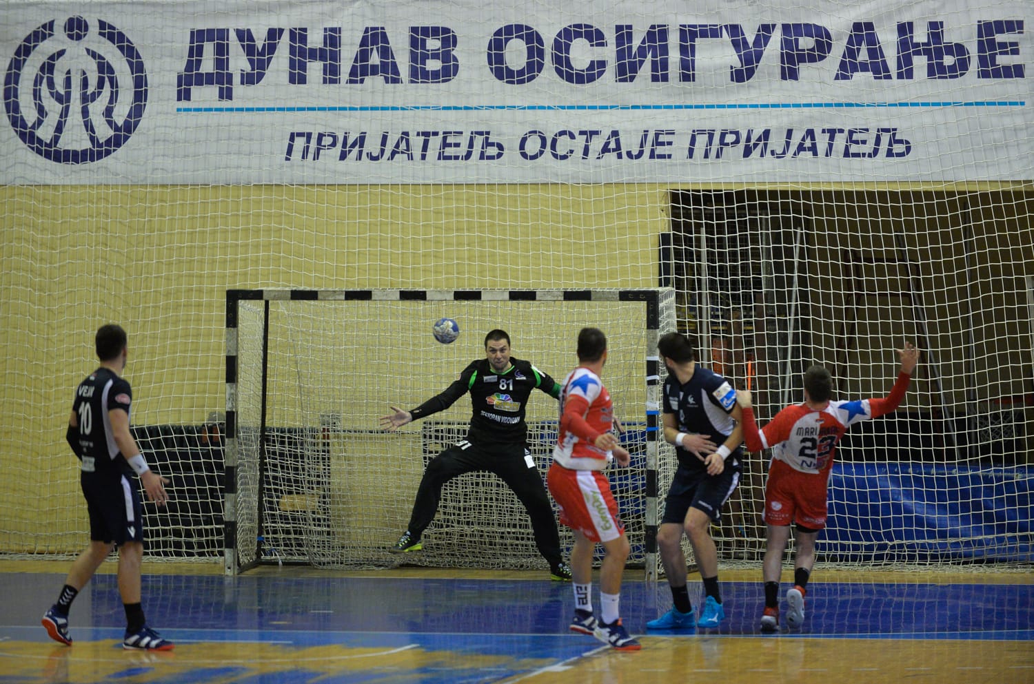 kocic,-zelenicar,-nis,-foto-jv-vanja-keser