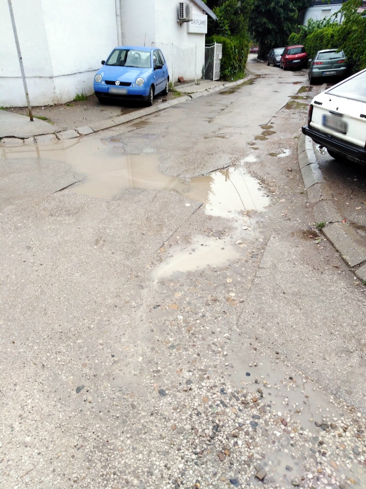 Rupe-u-ulici-Vojvode-Vuka-i-Prešernovoj1;-foto:-citalac