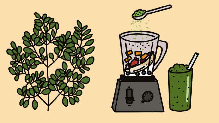 106822813 bbc illos round2 moringa2