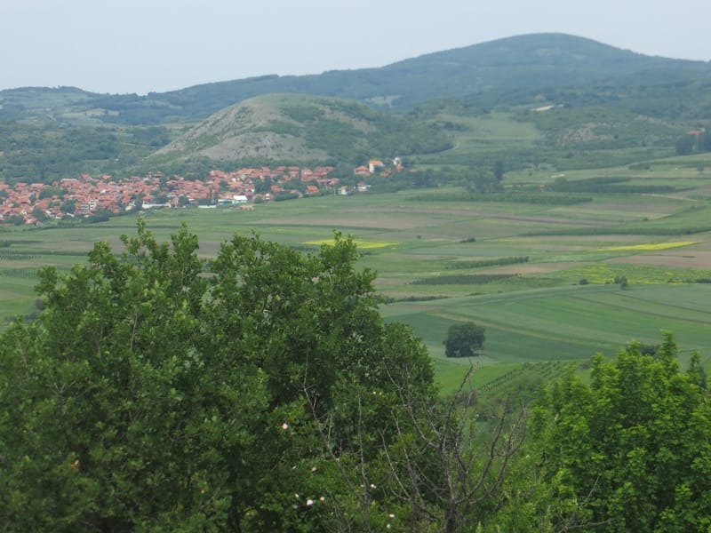 Hum i Humska cuka foto PD Preslap Nis