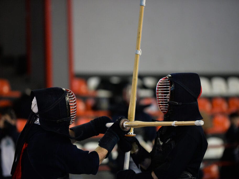 Kendo ilustracija foto Juzne vesti Vanja Keser