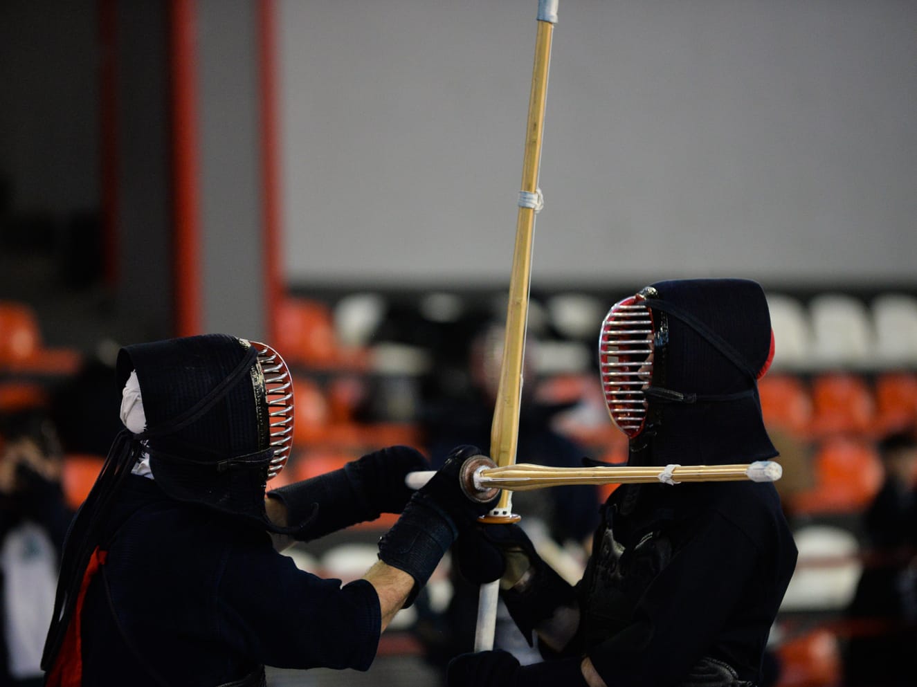 Kendo ilustracija foto Juzne vesti Vanja Keser