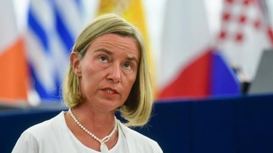 107150968 31480436 b