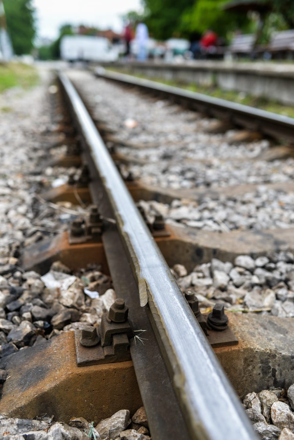 palilula foto vanja keser