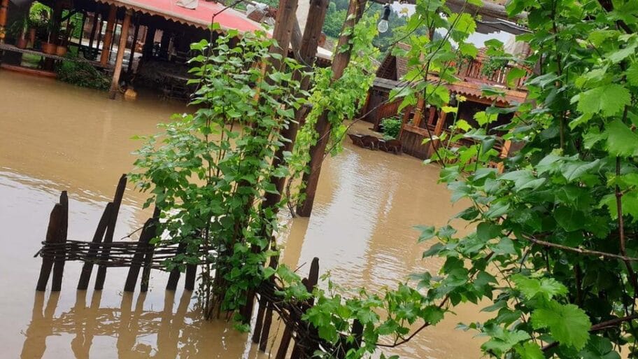 107221065 brocicaavlijapodvodom3