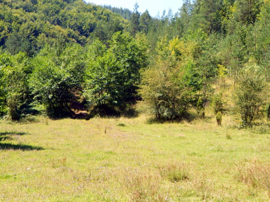 Ozren foto wikimedia Ranko Nikolic