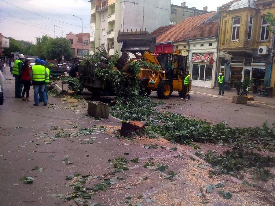 1280x0 Seca stabala u Aleksincu novo3 foto I D Cropped