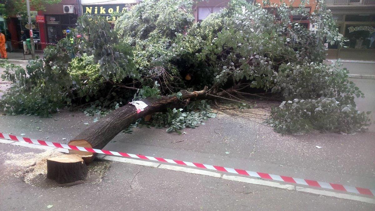 1280x0 Seca stabala u Aleksincu novo1 foto I D