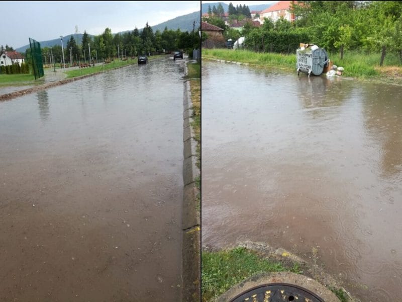 ulica babusnica foto citaoci