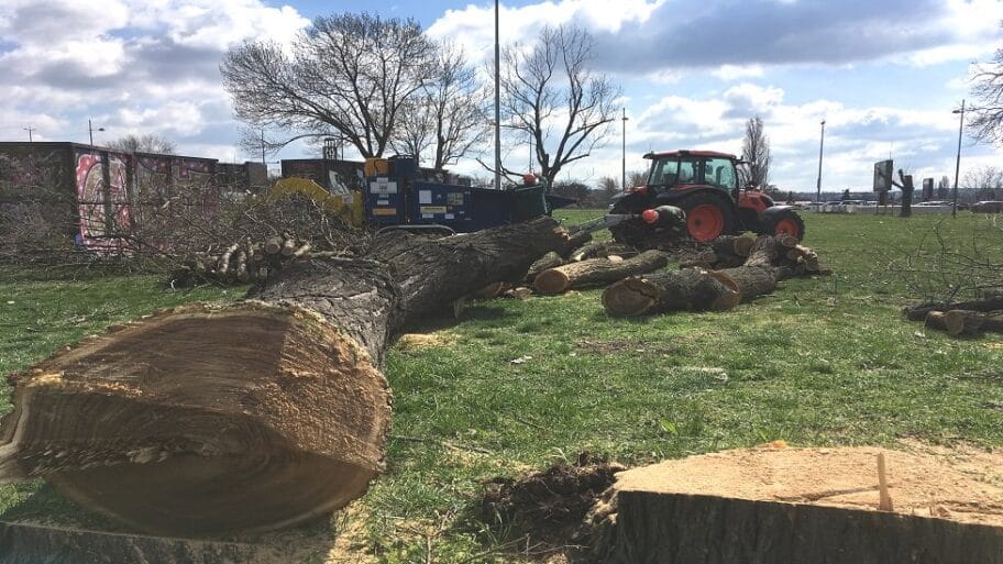 Kalemegdan i gondola: Između kulturnog nasleđa i turizma 11 105998495 img 9783