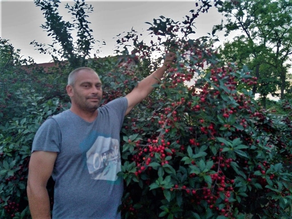 Sinisa Stankovic poljoprivrednik 1