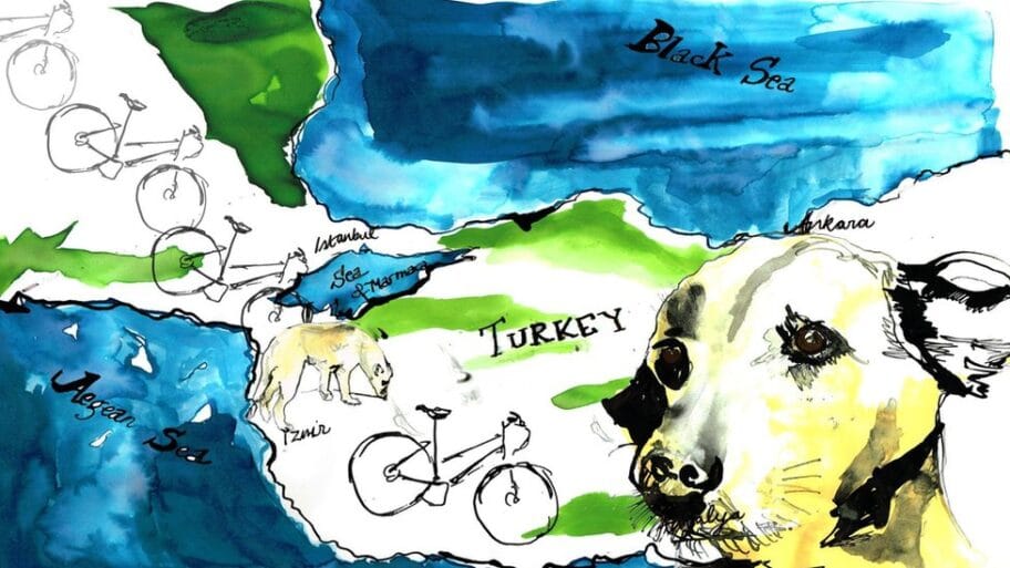 106455741 mediaitem106209584