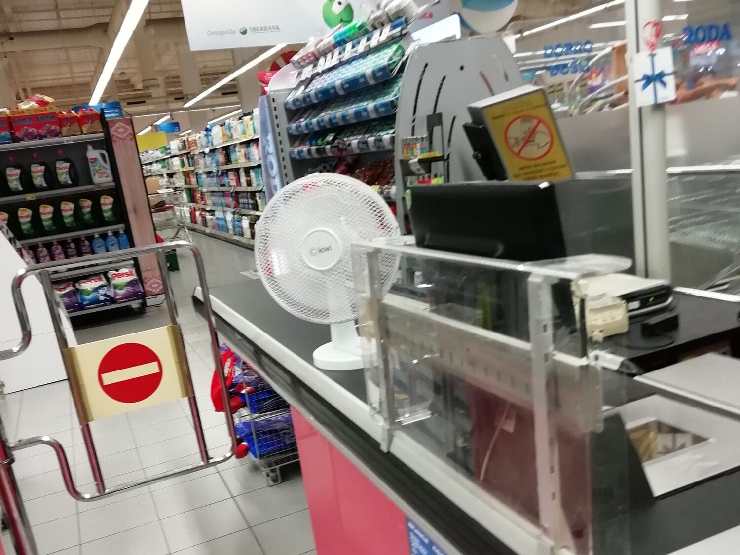 roda nis foto citateljka scaled