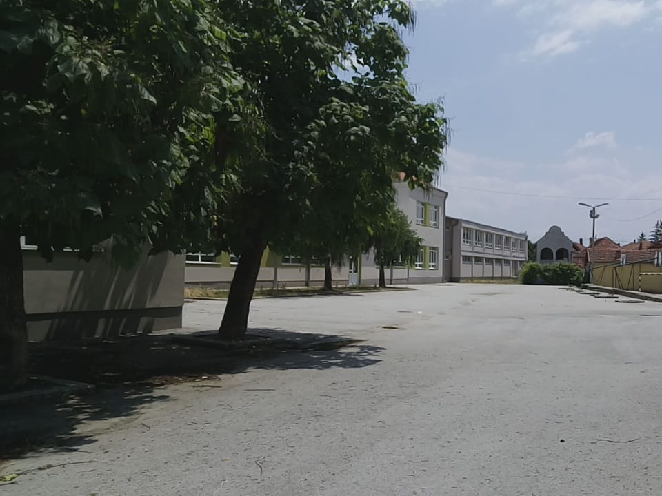 Josif Kostic skola Leskovac 2 foto Bojana Antic