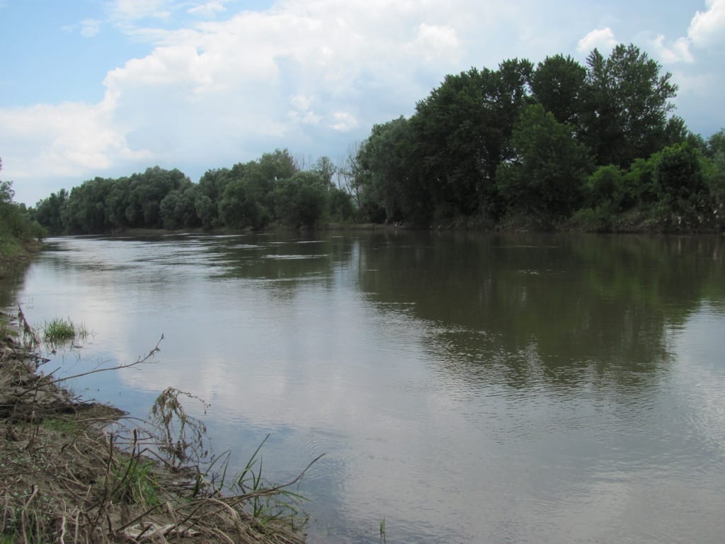 Moravska regata “Viden Jovanović” od Međurova do Lalinca 1 REGATA CILJ Ph Dragan Vidojkovic EKOPolis 234