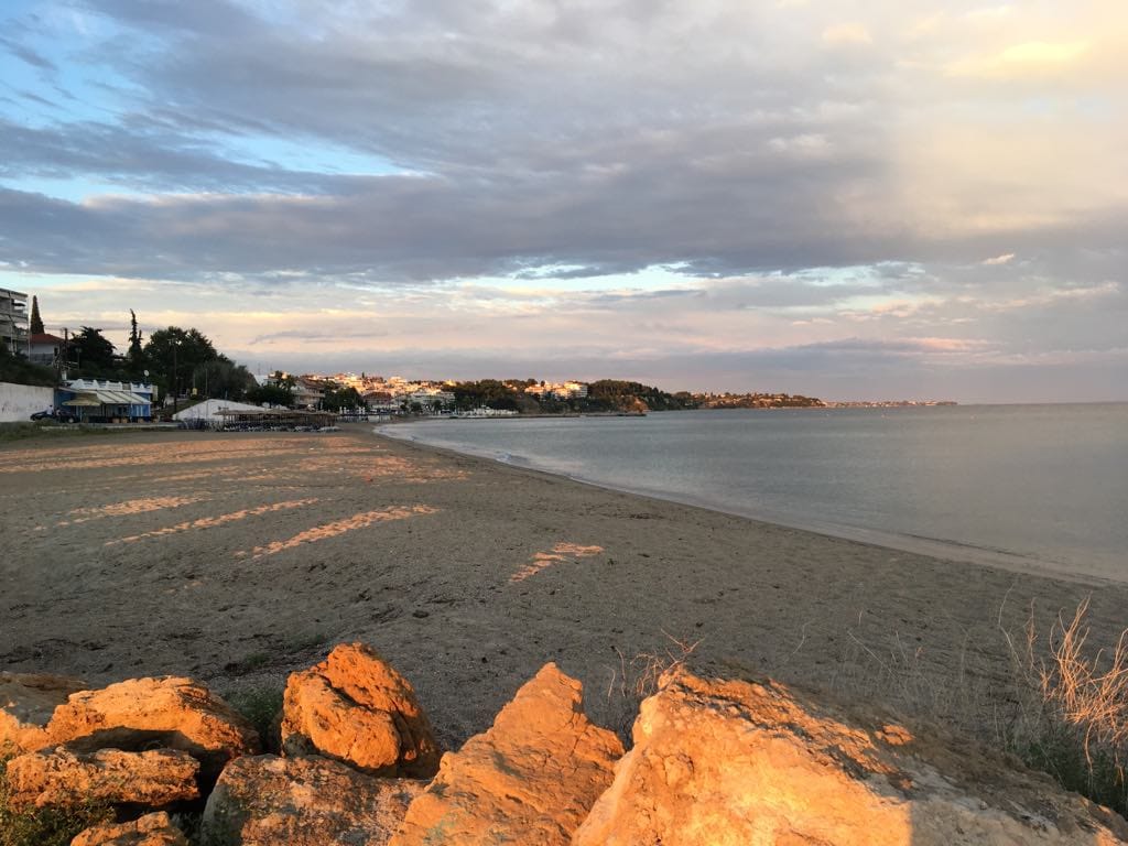 more foto tradivojevic