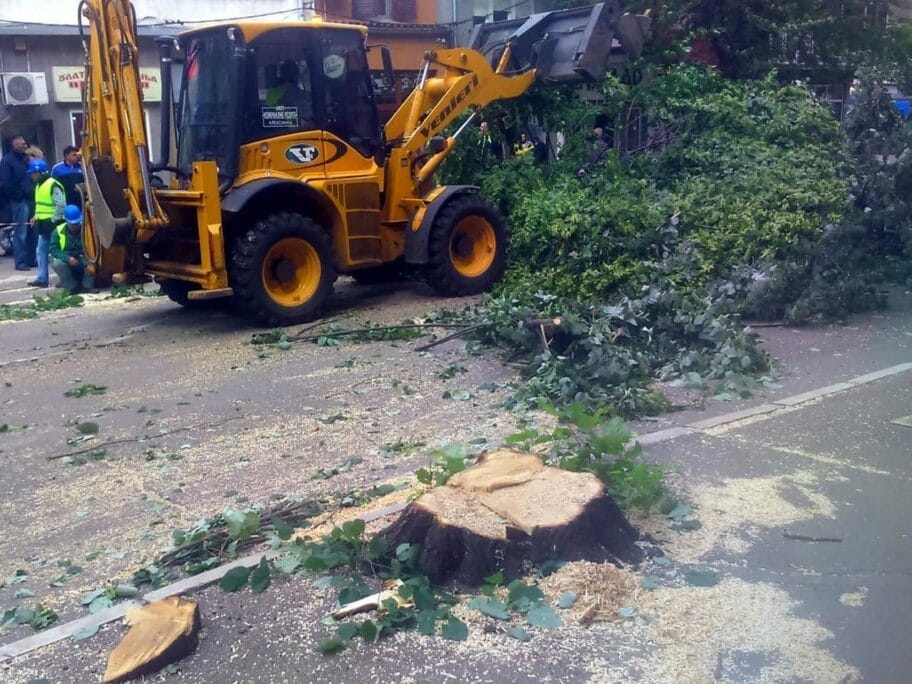 Seca stabala u Aleksincu novo5 foto I D