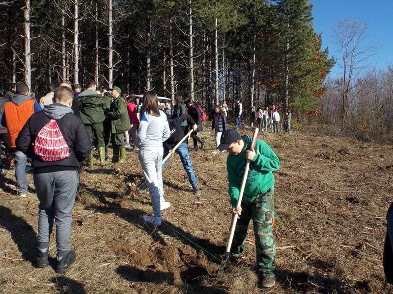 posumljavanje foto Lj M