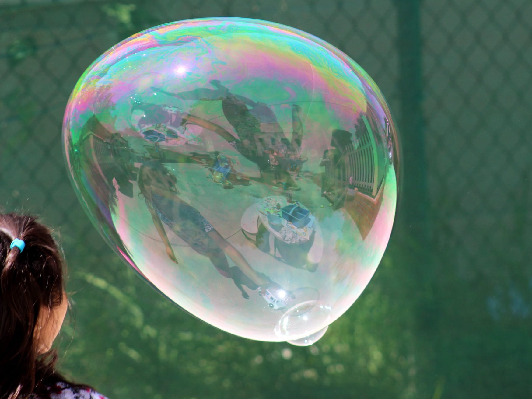 mehurici foto flickr Isabelle Acatauassu Alves Almeida