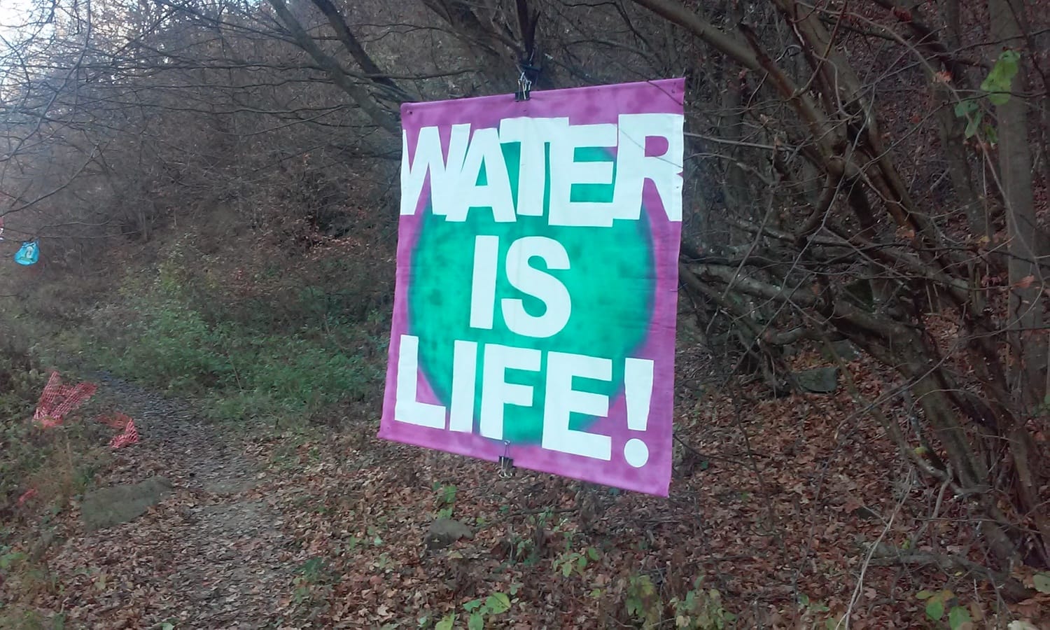 transparent foto Lj F